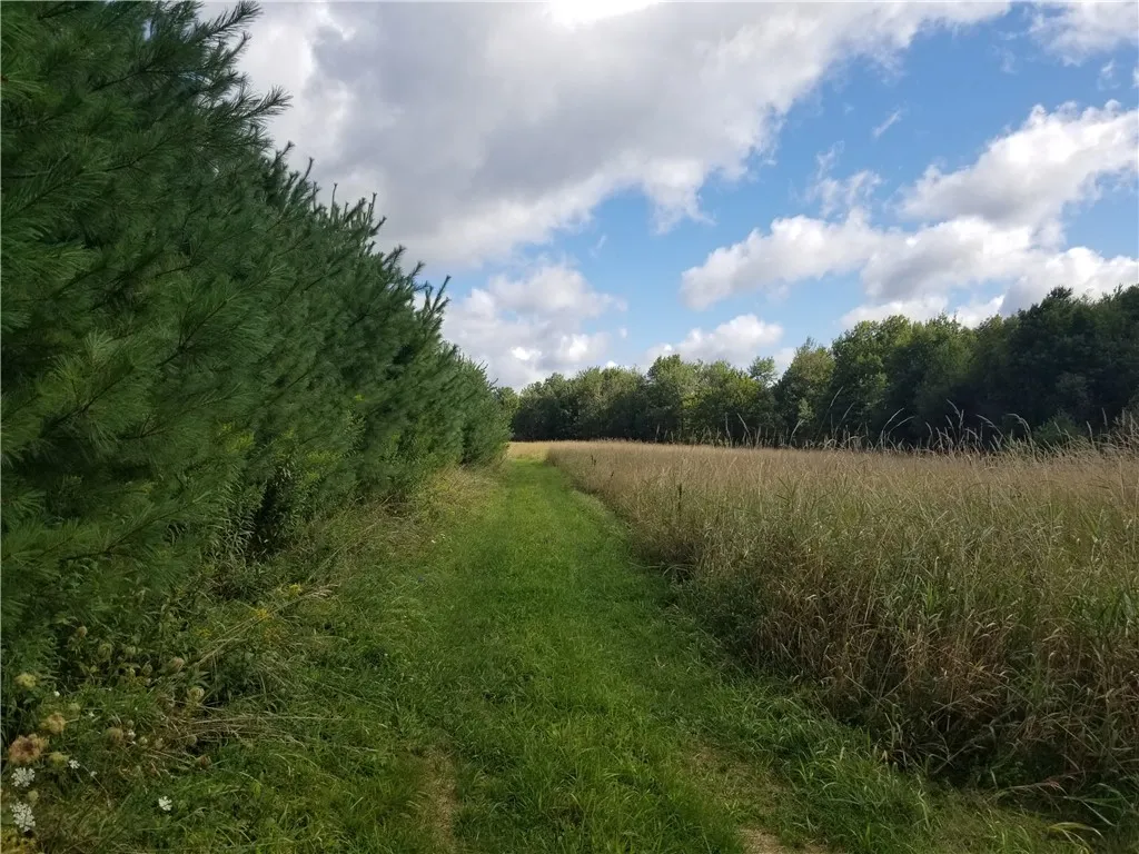 0 Tower Road, Pharsalia, New York 13815, Pharsalia, New York 13815, 1 Bedroom Bedrooms, 5 Rooms Rooms,1 BathroomBathrooms,Residential,For Sale,0 Tower Road, Pharsalia, New York 13815,0,R1634120