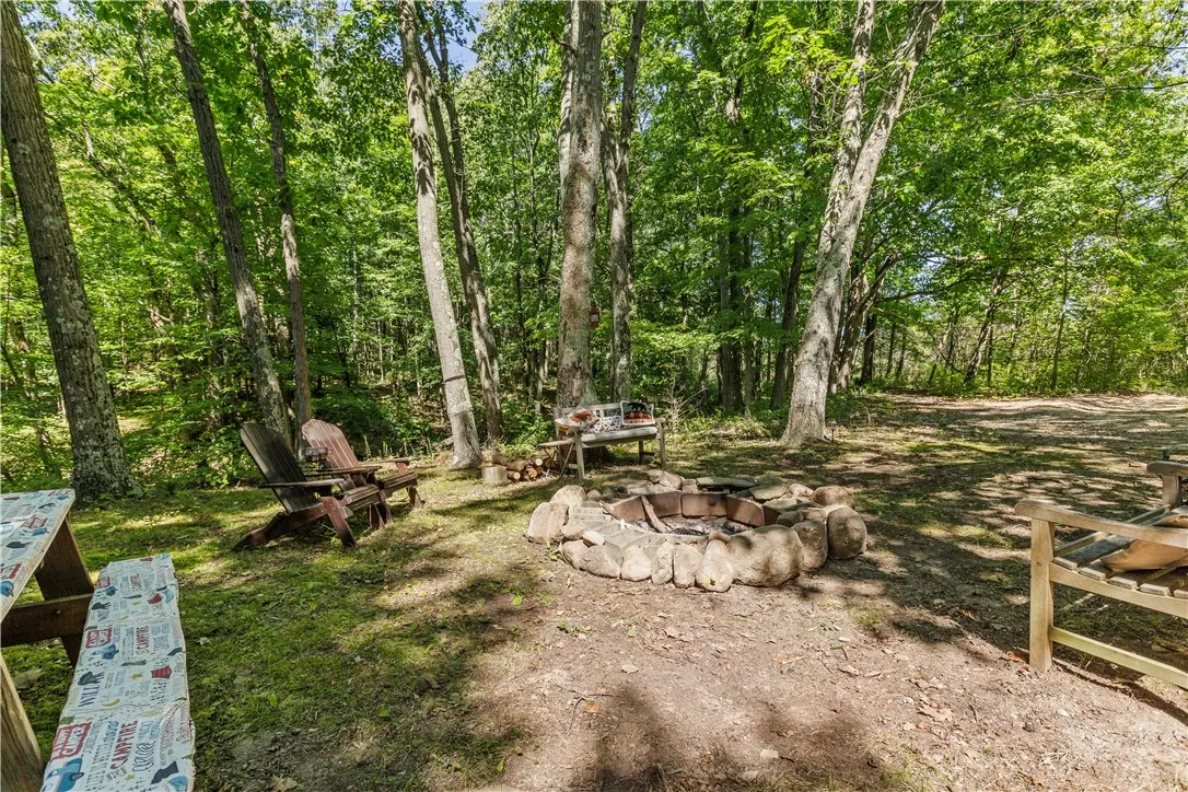 6441 Montanye Road, Bristol, New York 14424, Bristol, New York 14424, 2 Bedrooms Bedrooms, ,1 BathroomBathrooms,Land,For Sale,6441 Montanye Road, Bristol, New York 14424,0,R1635935