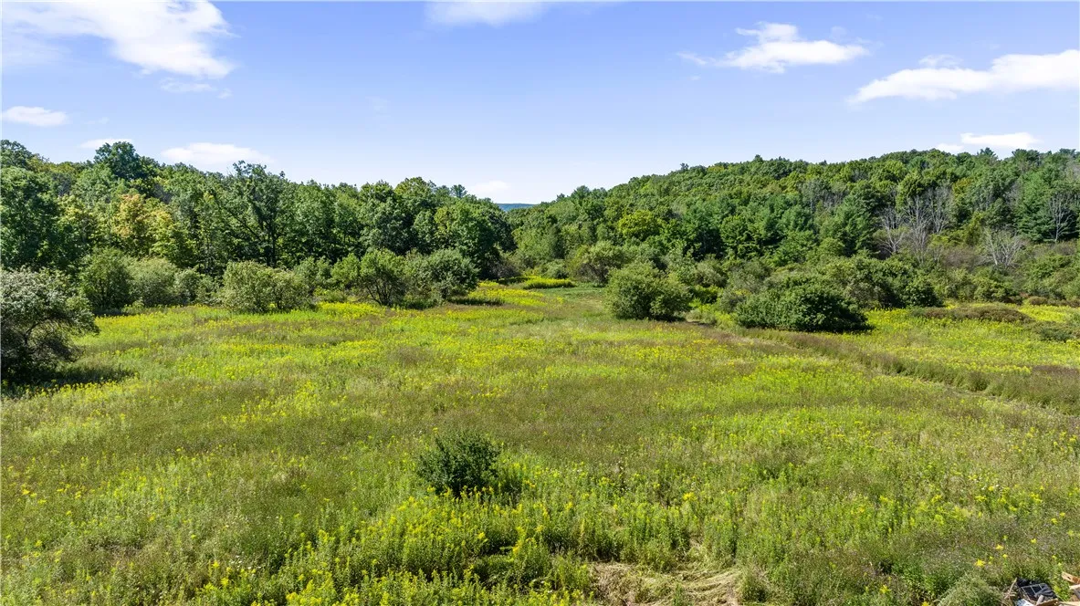 6441 Montanye Road, Bristol, New York 14424, Bristol, New York 14424, 2 Bedrooms Bedrooms, ,1 BathroomBathrooms,Land,For Sale,6441 Montanye Road, Bristol, New York 14424,0,R1635935