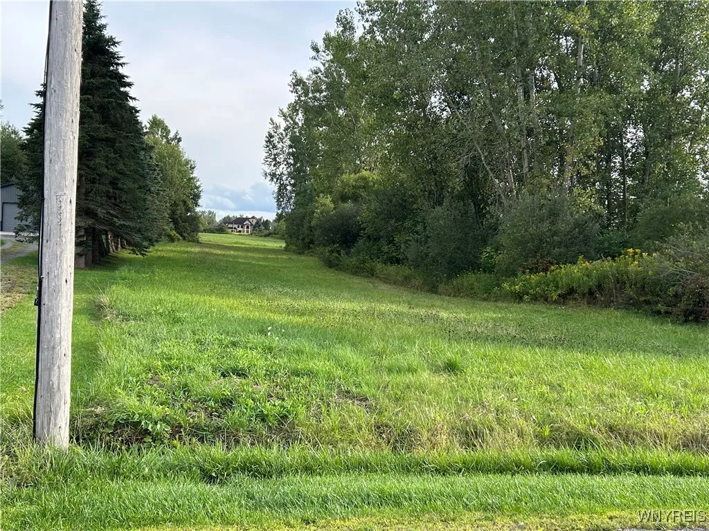 Vl Swift Mills Road South, Newstead, New York 1400, Newstead, New York 14001, ,Land,For Sale,Vl Swift Mills Road South, Newstead, New York 1400,0,B1635739