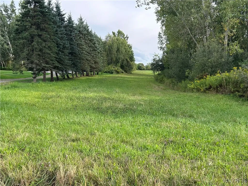 Vl Swift Mills Road South, Newstead, New York 1400, Newstead, New York 14001, ,Land,For Sale,Vl Swift Mills Road South, Newstead, New York 1400,0,B1635739
