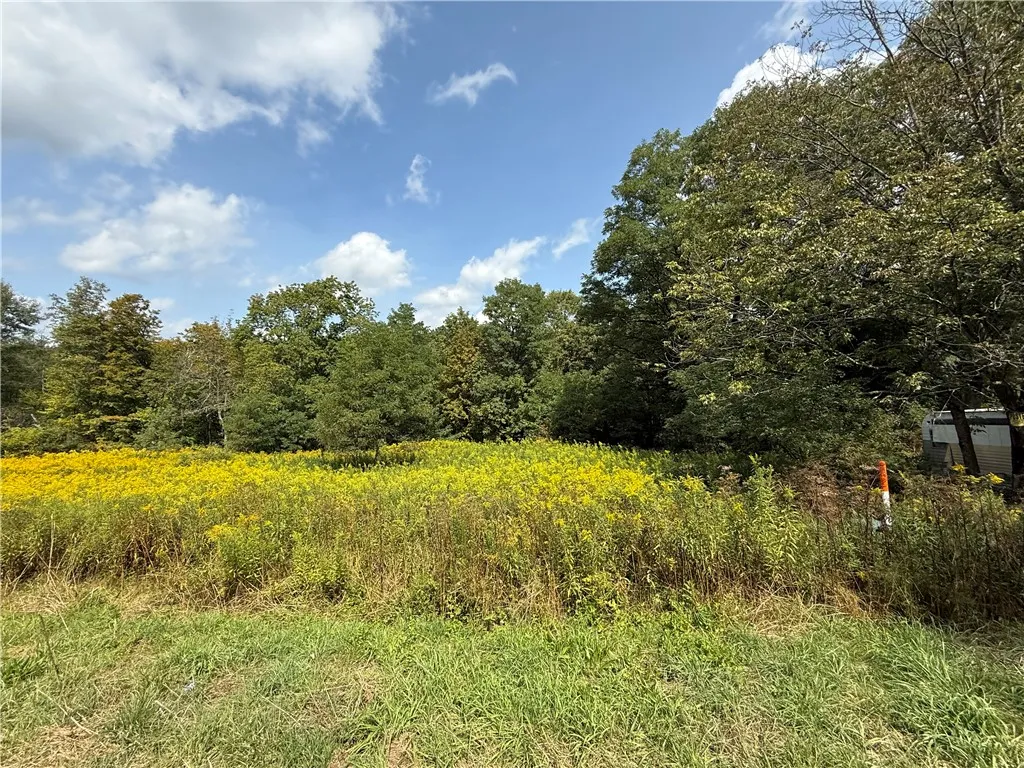 815 State Highway 165, Roseboom, New York 13320, Roseboom, New York 13320, 4 Bedrooms Bedrooms, 8 Rooms Rooms,1 BathroomBathrooms,Residential,For Sale,815 State Highway 165, Roseboom, New York 13320,0,R1635179