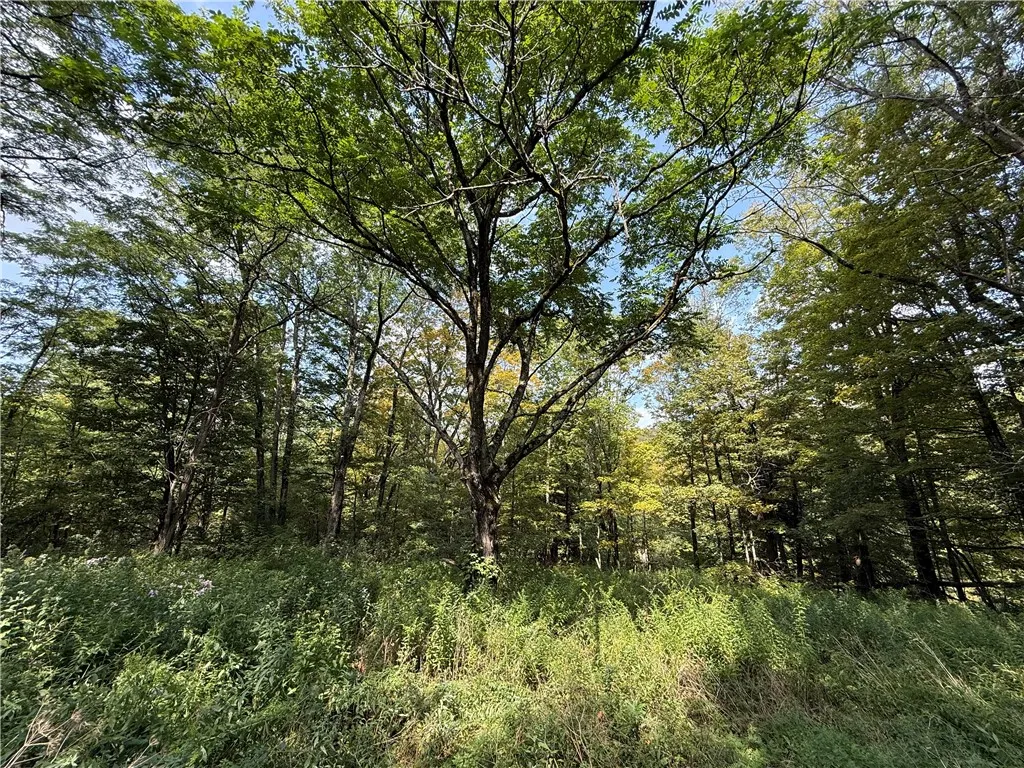 815 State Highway 165, Roseboom, New York 13320, Roseboom, New York 13320, 4 Bedrooms Bedrooms, 8 Rooms Rooms,1 BathroomBathrooms,Residential,For Sale,815 State Highway 165, Roseboom, New York 13320,0,R1635179