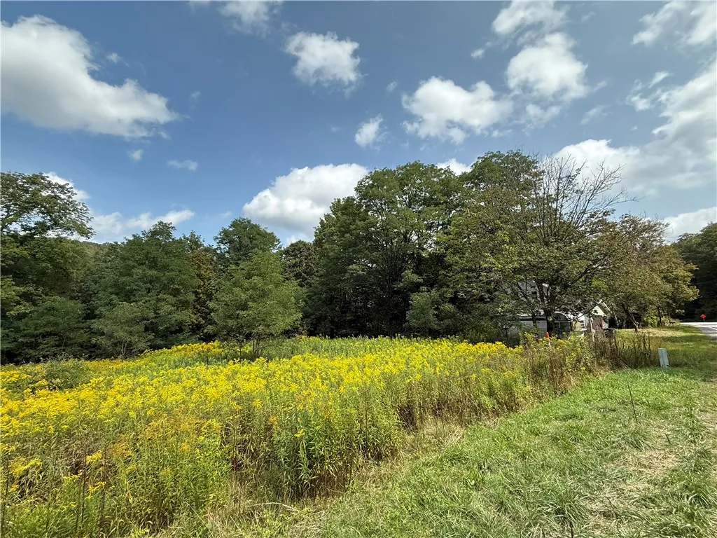815 State Highway 165, Roseboom, New York 13320, Roseboom, New York 13320, 4 Bedrooms Bedrooms, 8 Rooms Rooms,1 BathroomBathrooms,Residential,For Sale,815 State Highway 165, Roseboom, New York 13320,0,R1635179