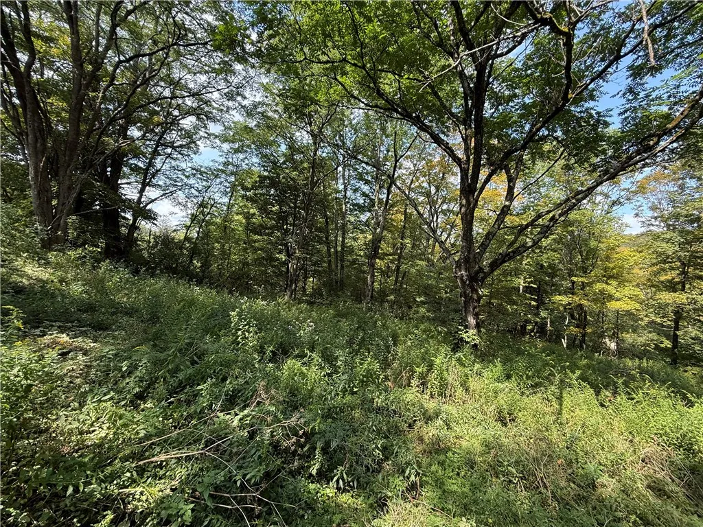 815 State Highway 165, Roseboom, New York 13320, Roseboom, New York 13320, 4 Bedrooms Bedrooms, 8 Rooms Rooms,1 BathroomBathrooms,Residential,For Sale,815 State Highway 165, Roseboom, New York 13320,0,R1635179