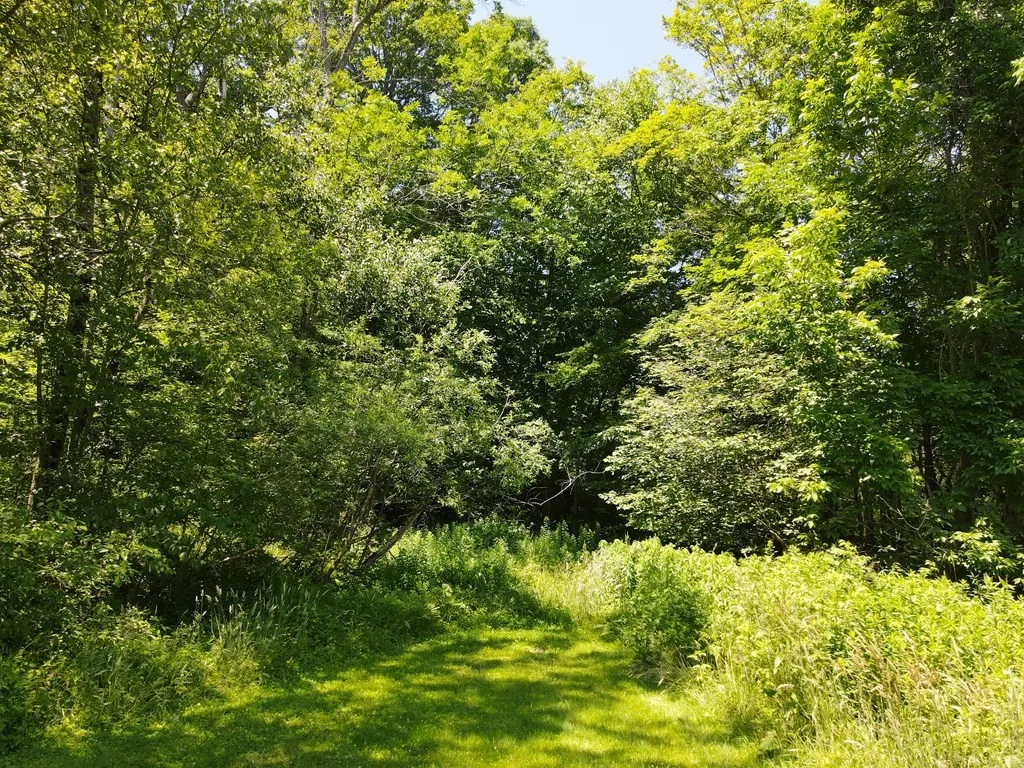 971 Indian Creek Road, Otto Twp, Pennsylvania 1673, Otto Twp, Pennsylvania 16731, 4 Bedrooms Bedrooms, 8 Rooms Rooms,1 BathroomBathrooms,Residential,For Sale,971 Indian Creek Road, Otto Twp, Pennsylvania 1673,0,R1635442