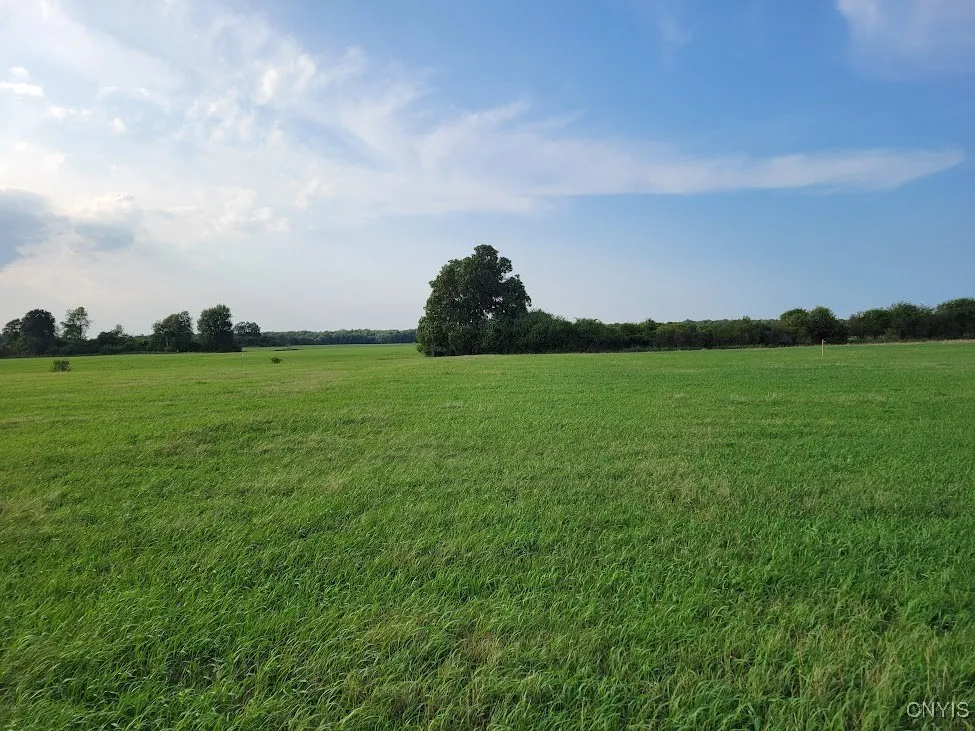 Three Mile Pt Road, Lyme, New York 13622, Lyme, New York 13622, ,Land,For Sale,Three Mile Pt Road, Lyme, New York 13622,0,S1636033