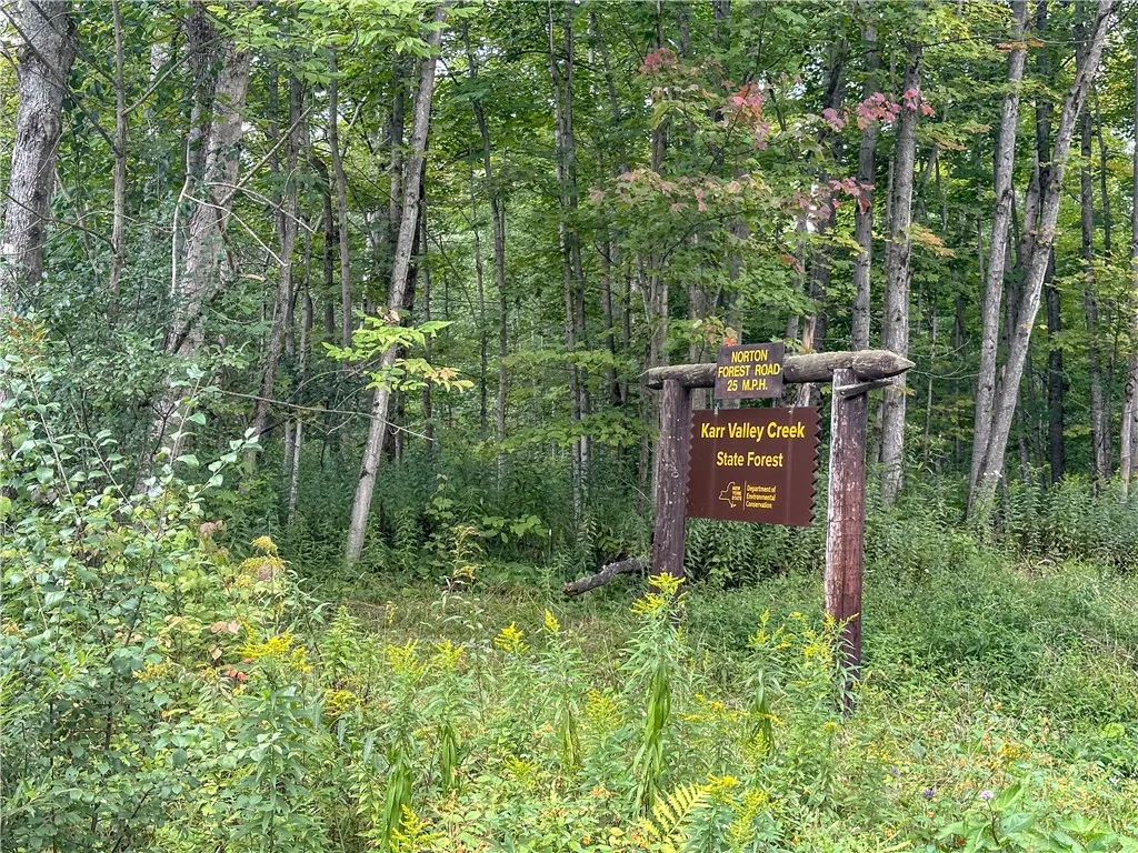 8190 Billing Drive, Birdsall, New York 14006, Birdsall, New York 14006, ,Land,For Sale,8190 Billing Drive, Birdsall, New York 14006,0,R1636059
