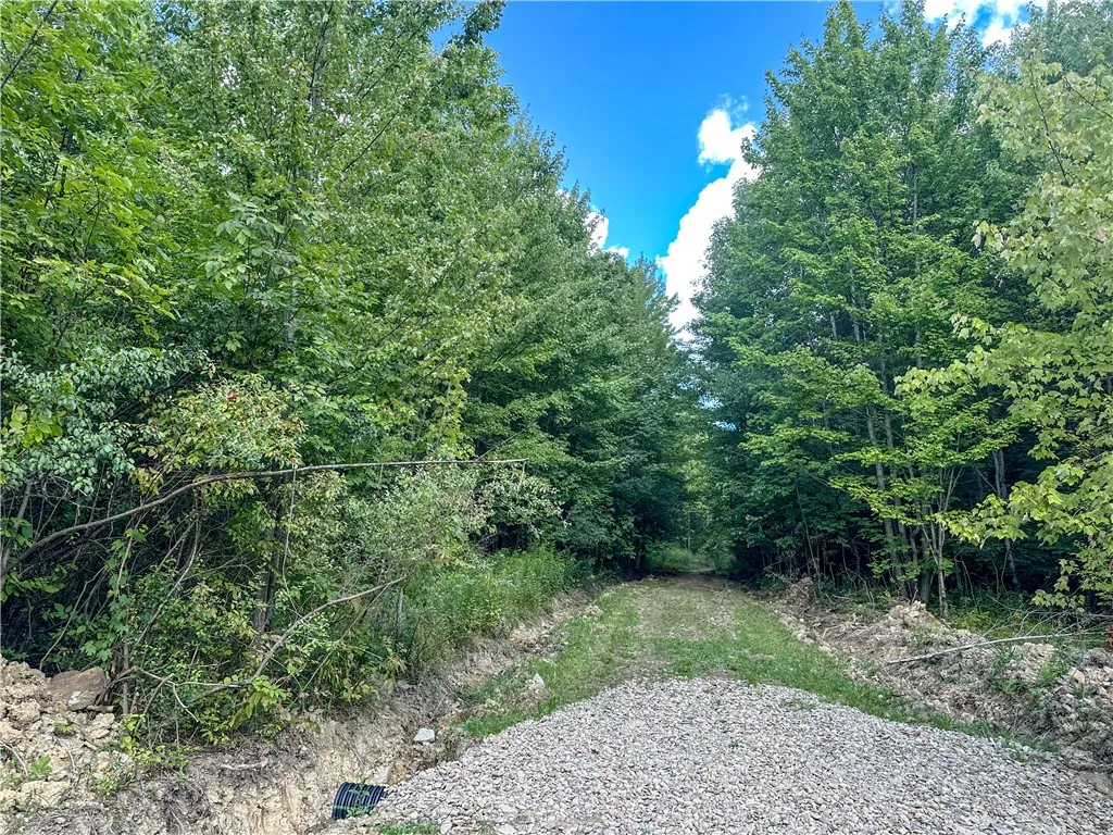 8190 Billing Drive, Birdsall, New York 14006, Birdsall, New York 14006, ,Land,For Sale,8190 Billing Drive, Birdsall, New York 14006,0,R1636059