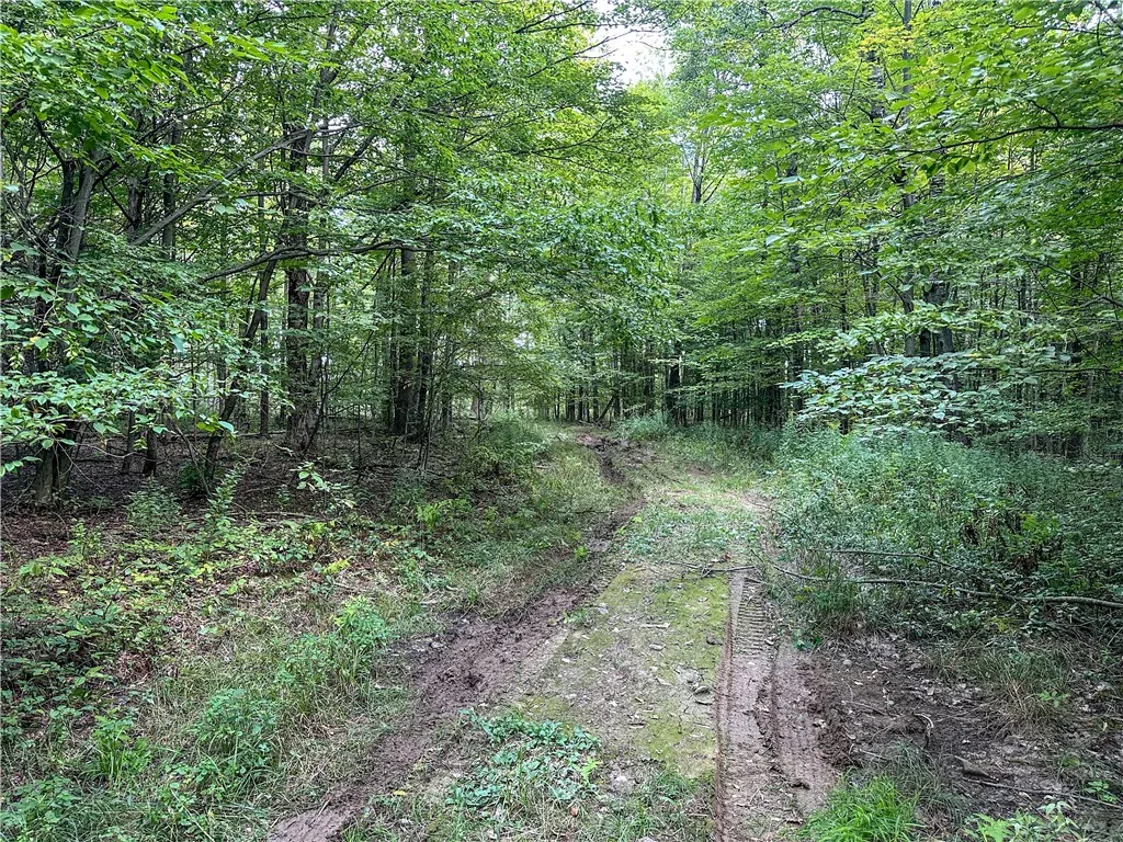 8190 Billing Drive, Birdsall, New York 14006, Birdsall, New York 14006, ,Land,For Sale,8190 Billing Drive, Birdsall, New York 14006,0,R1636059