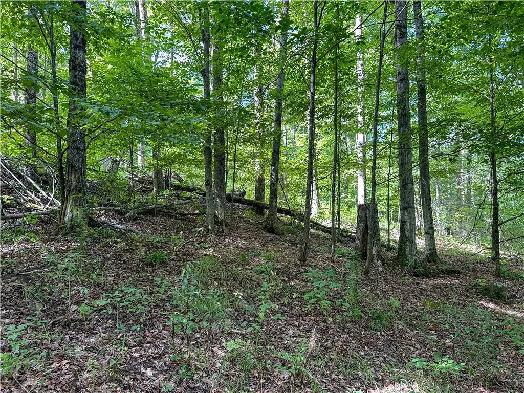 8190 Billing Drive, Birdsall, New York 14006, Birdsall, New York 14006, ,Land,For Sale,8190 Billing Drive, Birdsall, New York 14006,0,R1636059
