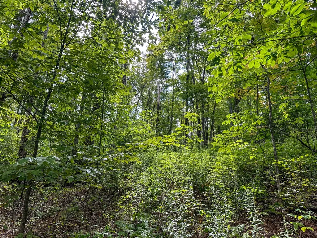 8190 Billing Drive, Birdsall, New York 14006, Birdsall, New York 14006, ,Land,For Sale,8190 Billing Drive, Birdsall, New York 14006,0,R1636059