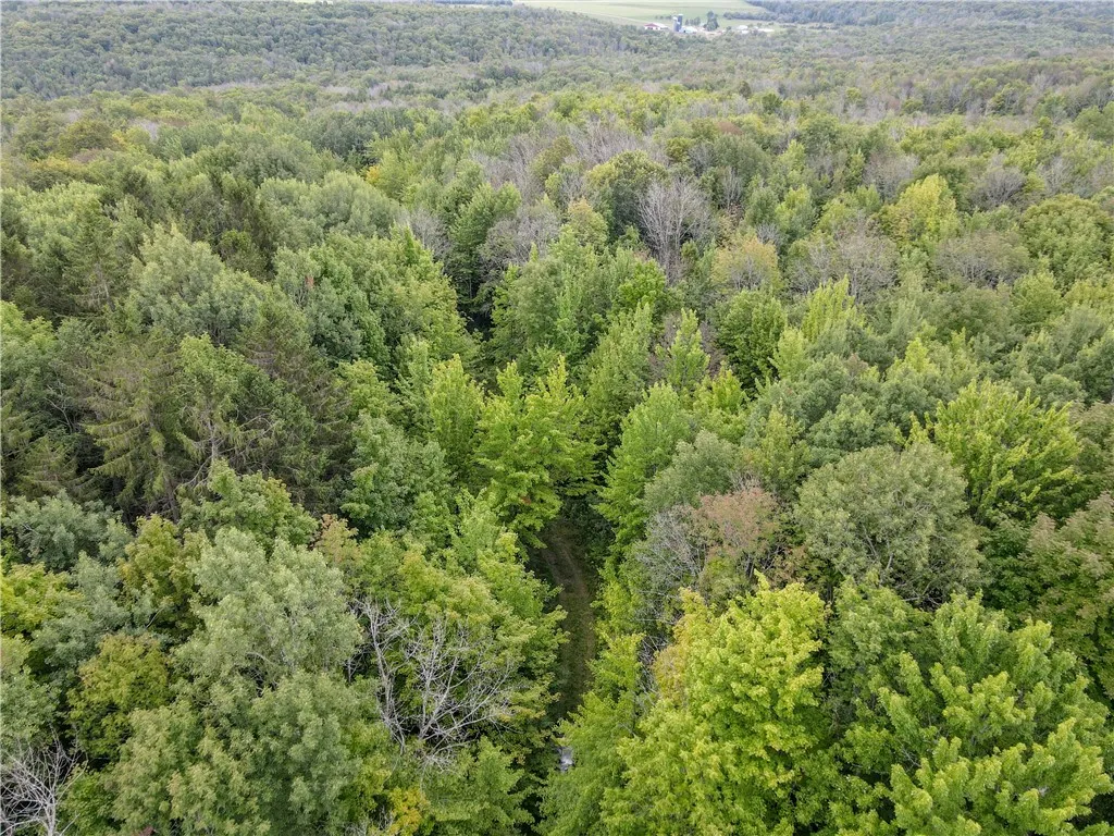 8190 Billing Drive, Birdsall, New York 14006, Birdsall, New York 14006, ,Land,For Sale,8190 Billing Drive, Birdsall, New York 14006,0,R1636059