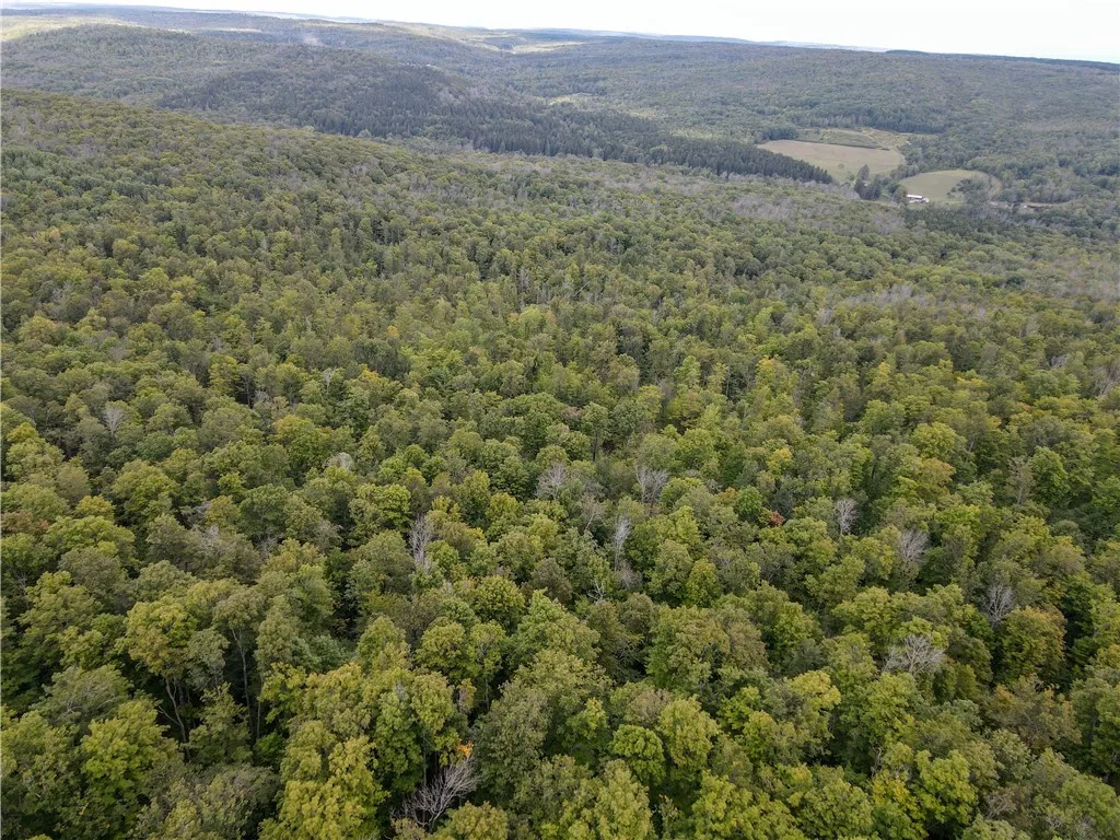 8190 Billing Drive, Birdsall, New York 14006, Birdsall, New York 14006, ,Land,For Sale,8190 Billing Drive, Birdsall, New York 14006,0,R1636059