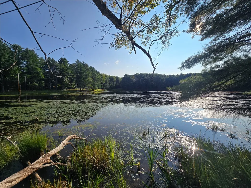 275 Holl Road, Pittsfield, New York 13411, Pittsfield, New York 13411, ,Land,For Sale,275 Holl Road, Pittsfield, New York 13411,0,R1636070