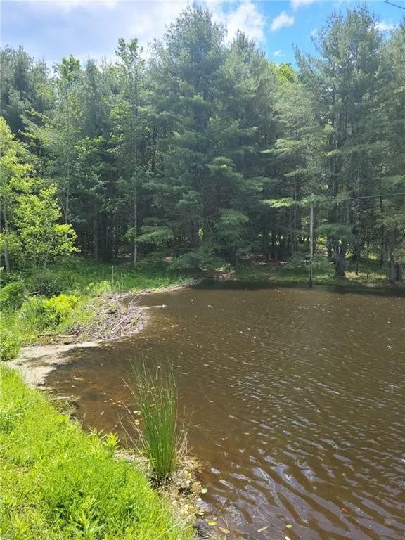 275 Holl Road, Pittsfield, New York 13411, Pittsfield, New York 13411, ,Land,For Sale,275 Holl Road, Pittsfield, New York 13411,0,R1636070