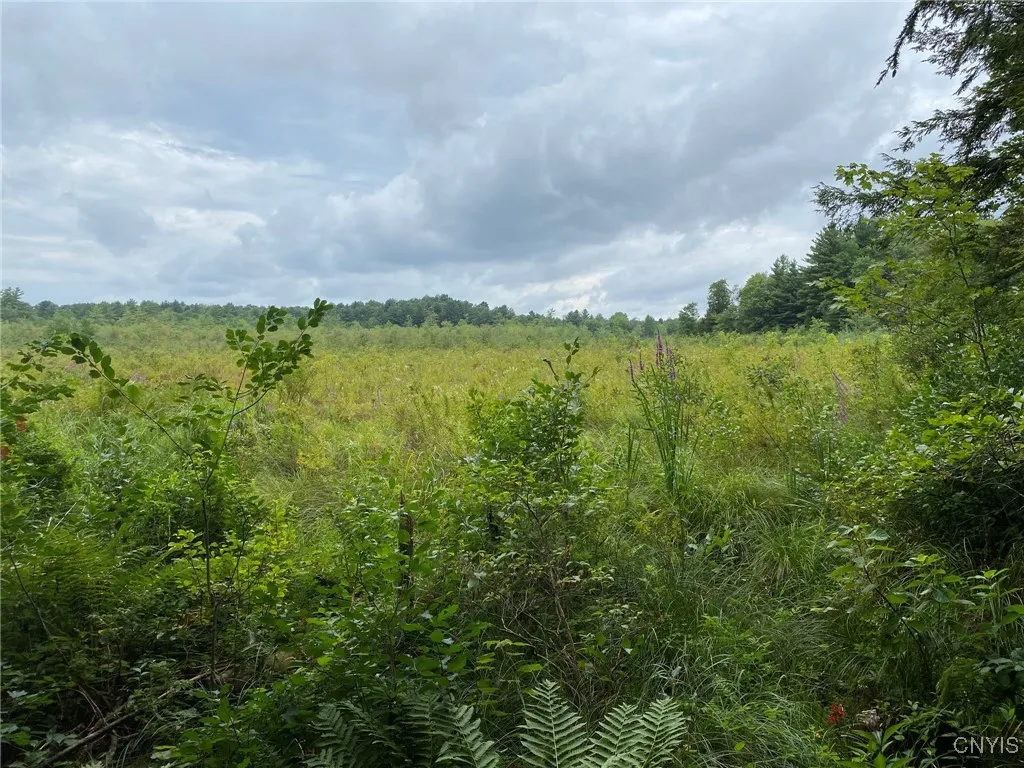 View of Little River Flow