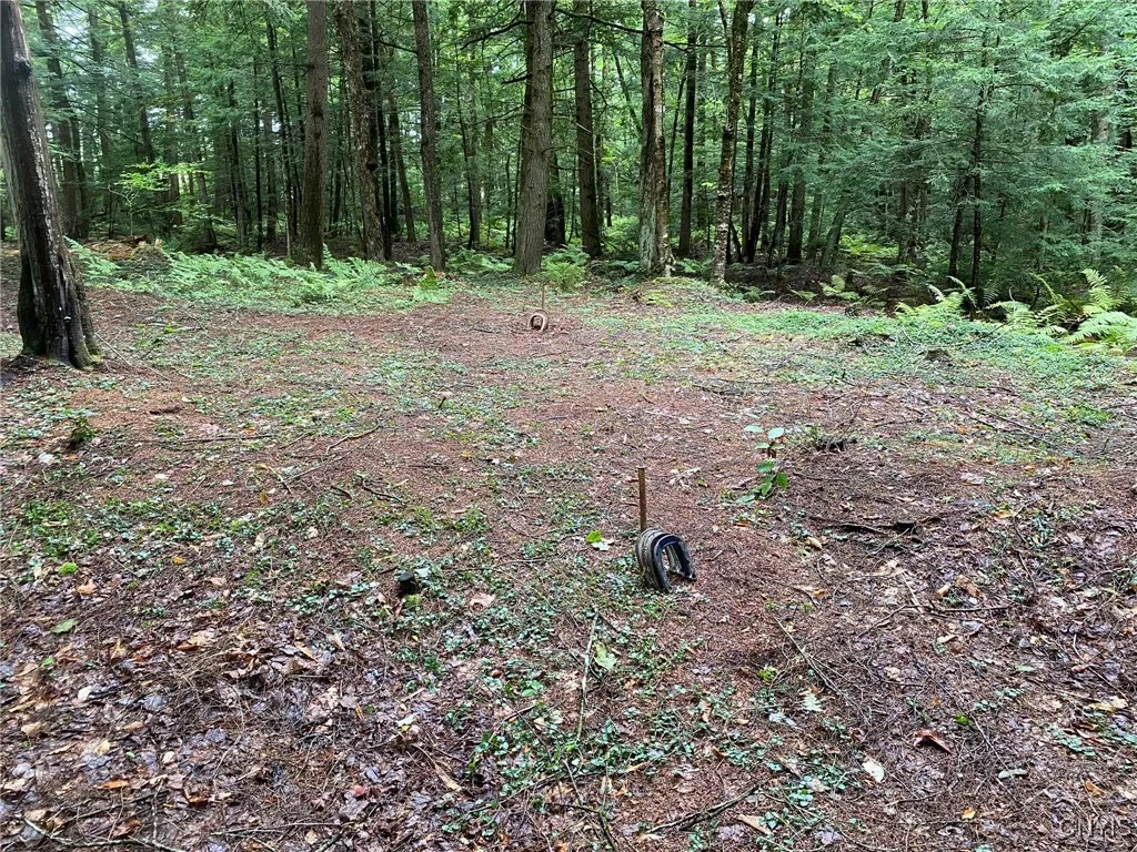 Horseshoes