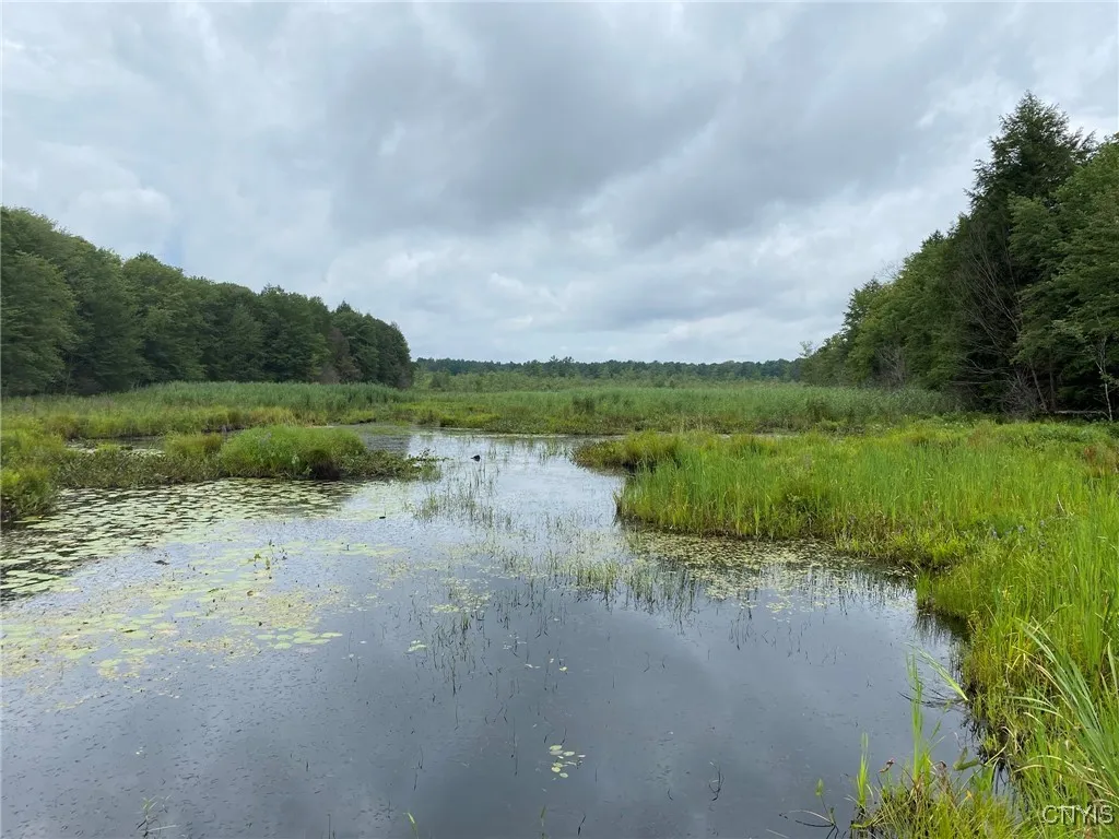 Fisherman S Bridge Road, Amboy, New York 13493, Amboy, New York 13493, 2 Bedrooms Bedrooms, ,Land,For Sale,Fisherman S Bridge Road, Amboy, New York 13493,0,S1636074