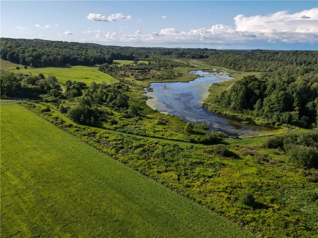 Kidder Road, Mina, New York 14781, Mina, New York 14781, ,Land,For Sale,Kidder Road, Mina, New York 14781,0,R1636067