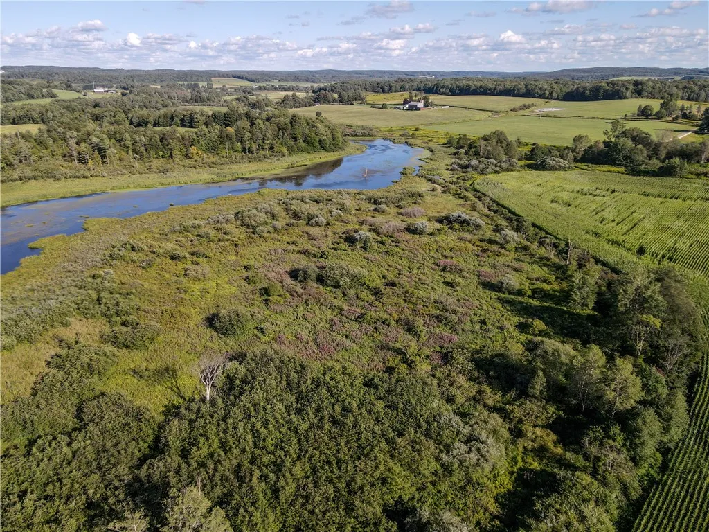 Kidder Road, Mina, New York 14781, Mina, New York 14781, ,Land,For Sale,Kidder Road, Mina, New York 14781,0,R1636067