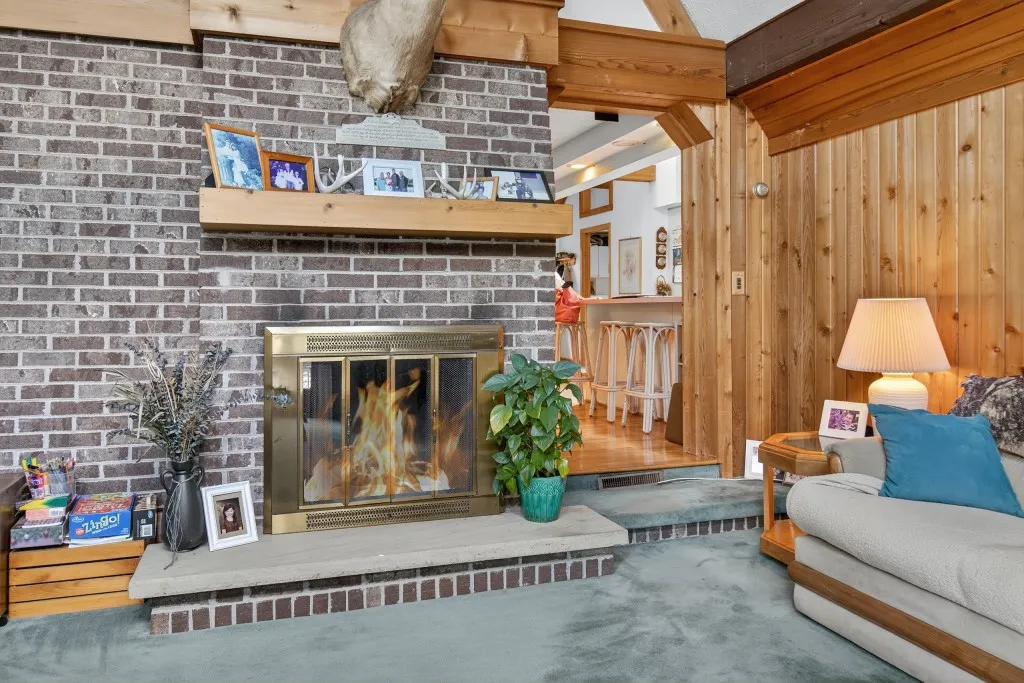 Wood burning fireplace