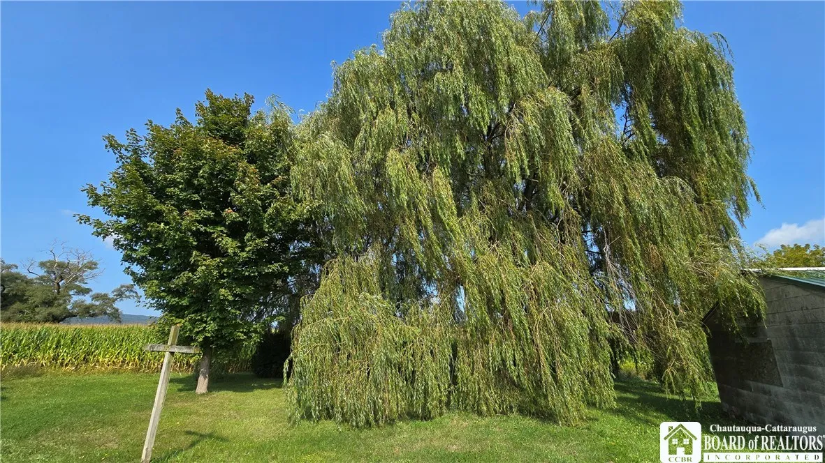 1184 Cassadaga Road, Villenova, New York 14138, Villenova, New York 14138, 3 Bedrooms Bedrooms, 9 Rooms Rooms,1 BathroomBathrooms,Residential,For Sale,1184 Cassadaga Road, Villenova, New York 14138,0,R1635919