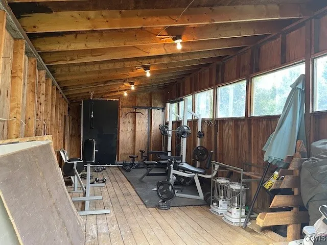 Shed