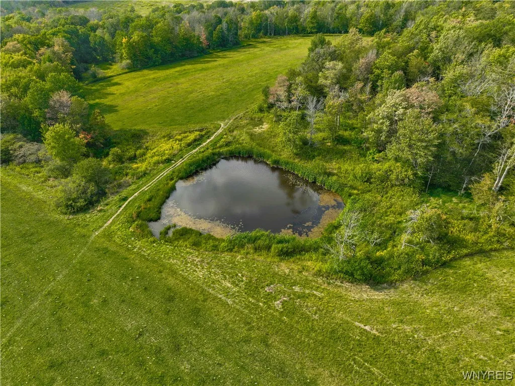 9670 County Road 3, Centerville, New York 14065, Centerville, New York 14065, 5 Bedrooms Bedrooms, 16 Rooms Rooms,1 BathroomBathrooms,Residential,For Sale,9670 County Road 3, Centerville, New York 14065,0,B1635886