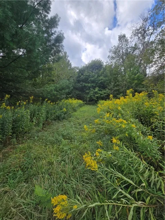 11521 Rehm Road, Florence, New York 13316, Florence, New York 13316, 1 Bedroom Bedrooms, 3 Rooms Rooms,1 BathroomBathrooms,Residential,For Sale,11521 Rehm Road, Florence, New York 13316,0,R1636245