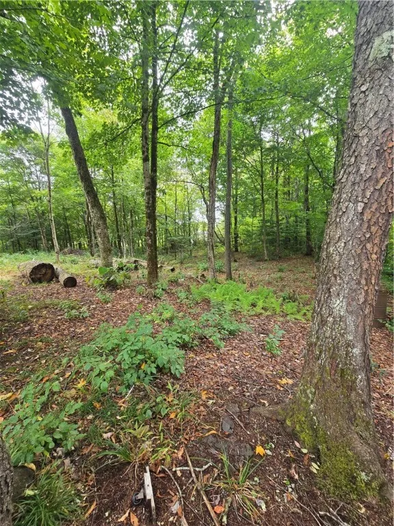 11521 Rehm Road, Florence, New York 13316, Florence, New York 13316, 1 Bedroom Bedrooms, 3 Rooms Rooms,1 BathroomBathrooms,Residential,For Sale,11521 Rehm Road, Florence, New York 13316,0,R1636245