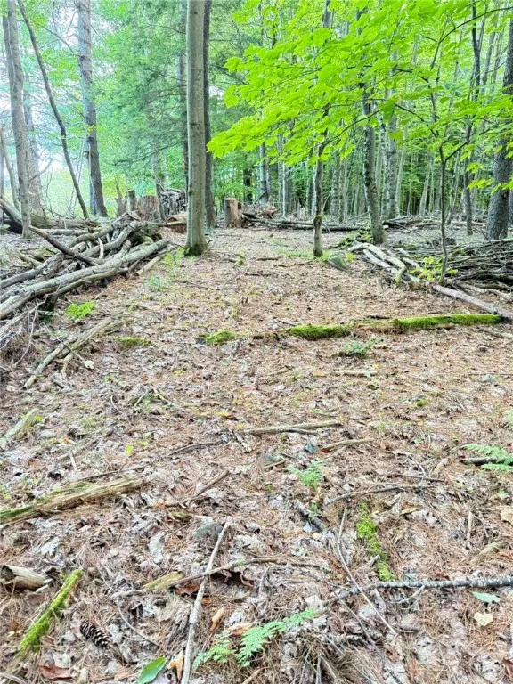 L11 Mountain Pond View Road, Conesville, New York, Conesville, New York 12076, ,Land,For Sale,L11 Mountain Pond View Road, Conesville, New York ,0,R1634868