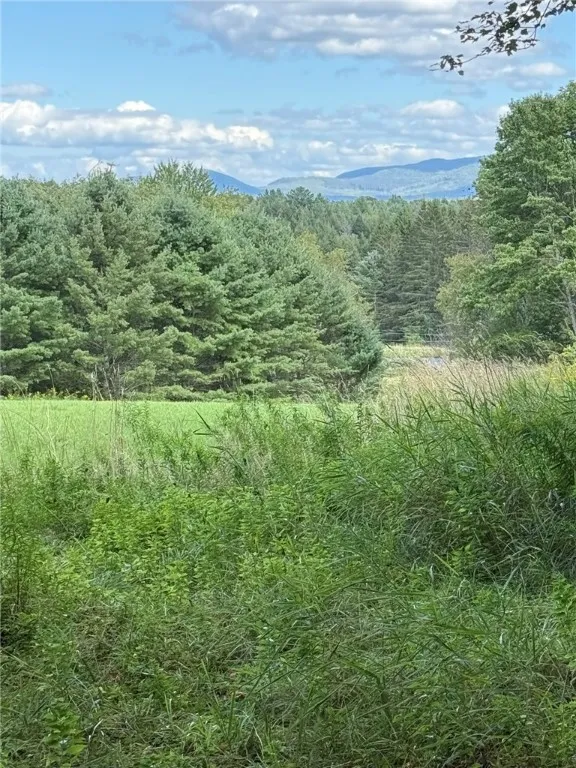 L11 Mountain Pond View Road, Conesville, New York, Conesville, New York 12076, ,Land,For Sale,L11 Mountain Pond View Road, Conesville, New York ,0,R1634868