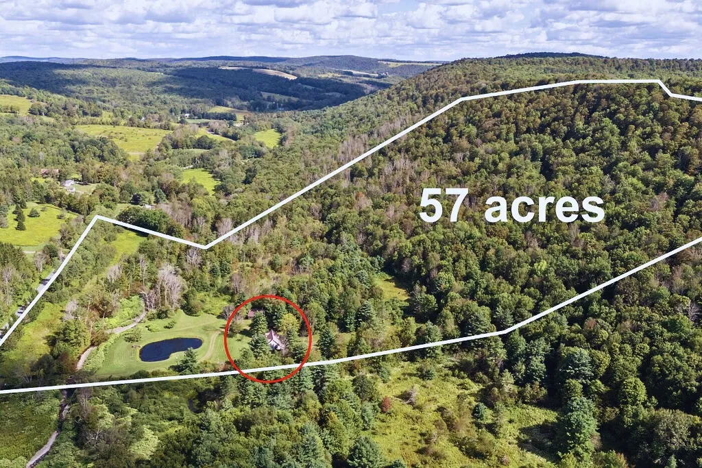 2260 East Handsome Brook Road, Franklin, New York, Franklin, New York 13775, 3 Bedrooms Bedrooms, 9 Rooms Rooms,3 BathroomsBathrooms,Residential,For Sale,2260 East Handsome Brook Road, Franklin, New York ,0,R1633573