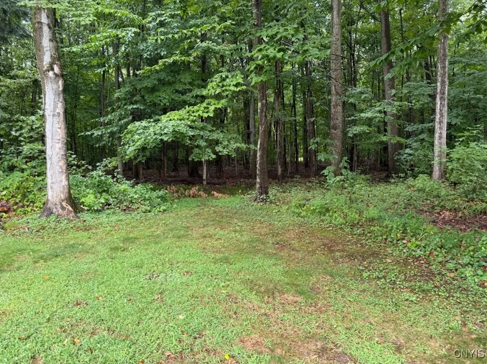 5 Ironwood Drive, Schroeppel, New York 13132, Schroeppel, New York 13132, 4 Bedrooms Bedrooms, 11 Rooms Rooms,1 BathroomBathrooms,Residential,For Sale,5 Ironwood Drive, Schroeppel, New York 13132,0,S1636314