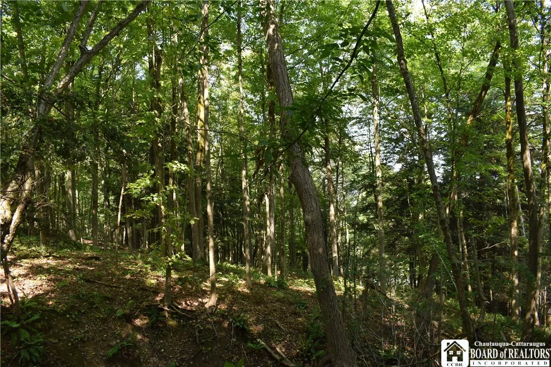 Route 380, Ellicott, New York 14701, Ellicott, New York 14701, ,Land,For Sale,Route 380, Ellicott, New York 14701,0,R1636418