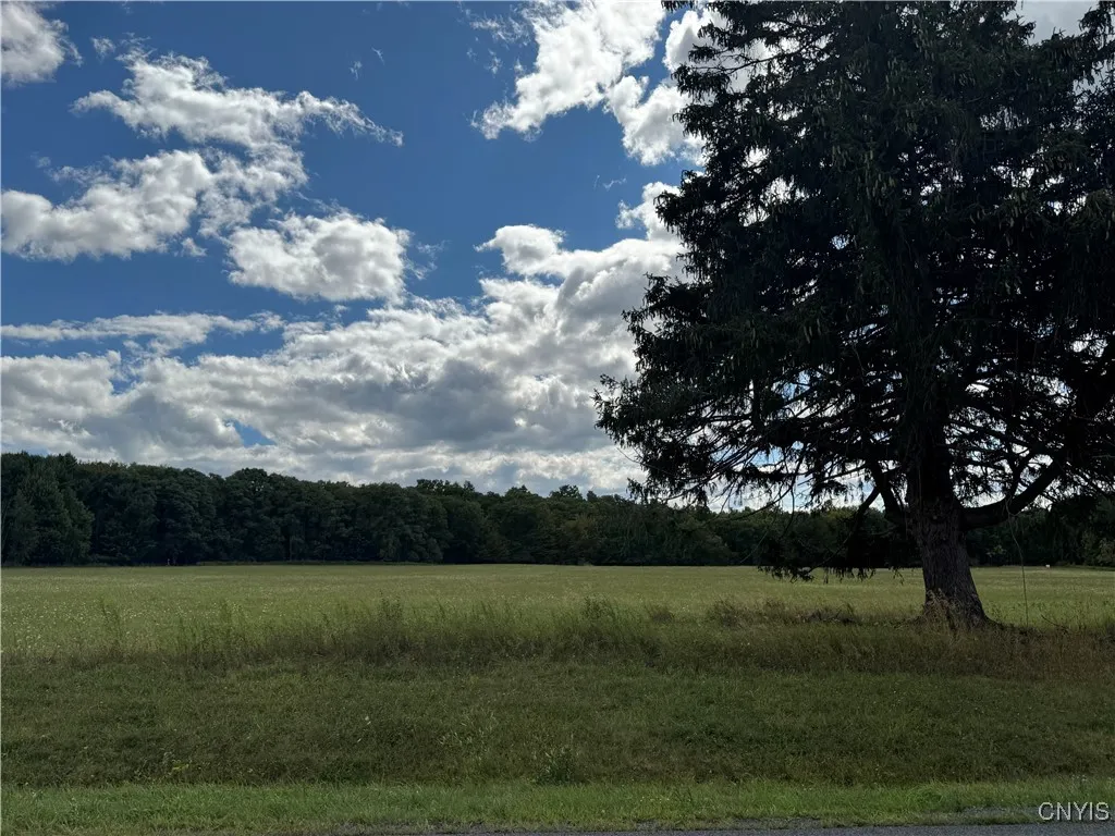 Lot 9 Sisson Road, Milo, New York 14527, Milo, New York 14527, ,Land,For Sale,Lot 9 Sisson Road, Milo, New York 14527,0,S1636218
