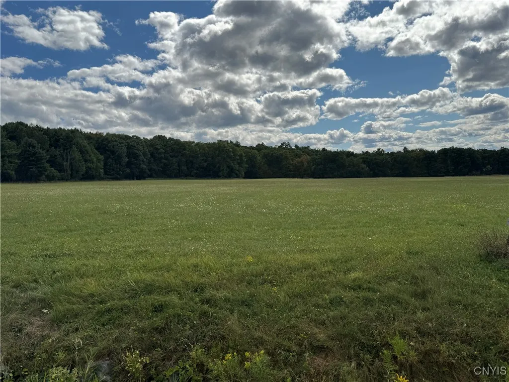 Lot 10 Sisson Road, Milo, New York 14527, Milo, New York 14527, ,Land,For Sale,Lot 10 Sisson Road, Milo, New York 14527,0,S1636239