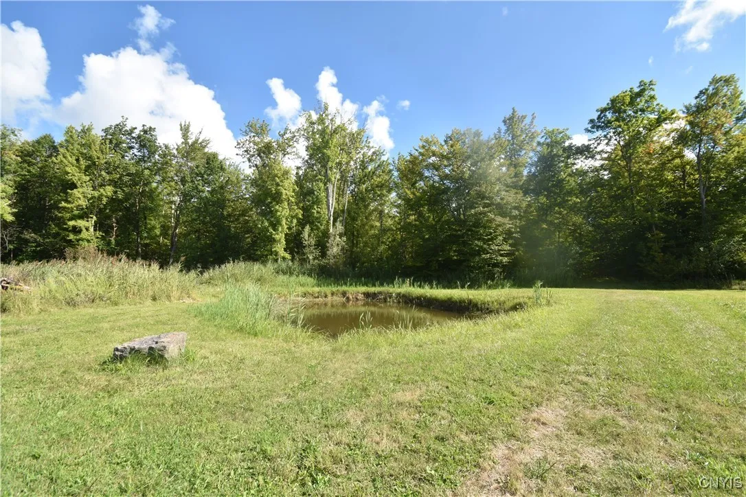 Pond #1