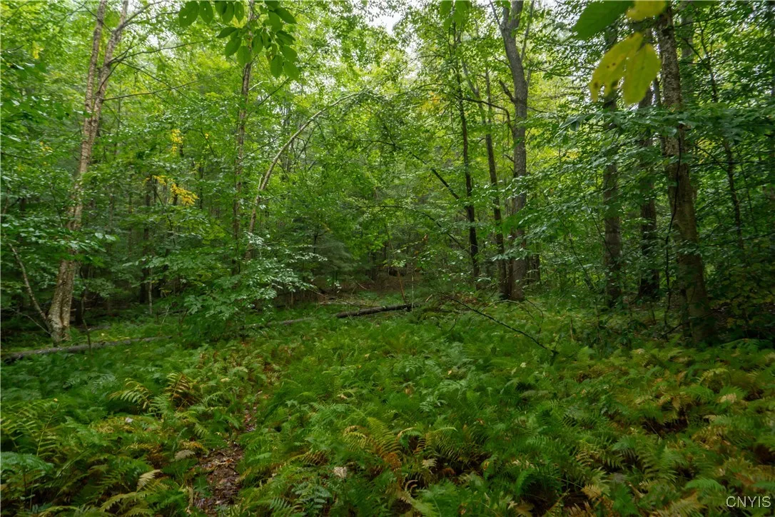 347 Shaad Road, Salisbury, New York 13454, Salisbury, New York 13454, ,Land,For Sale,347 Shaad Road, Salisbury, New York 13454,0,S1636593