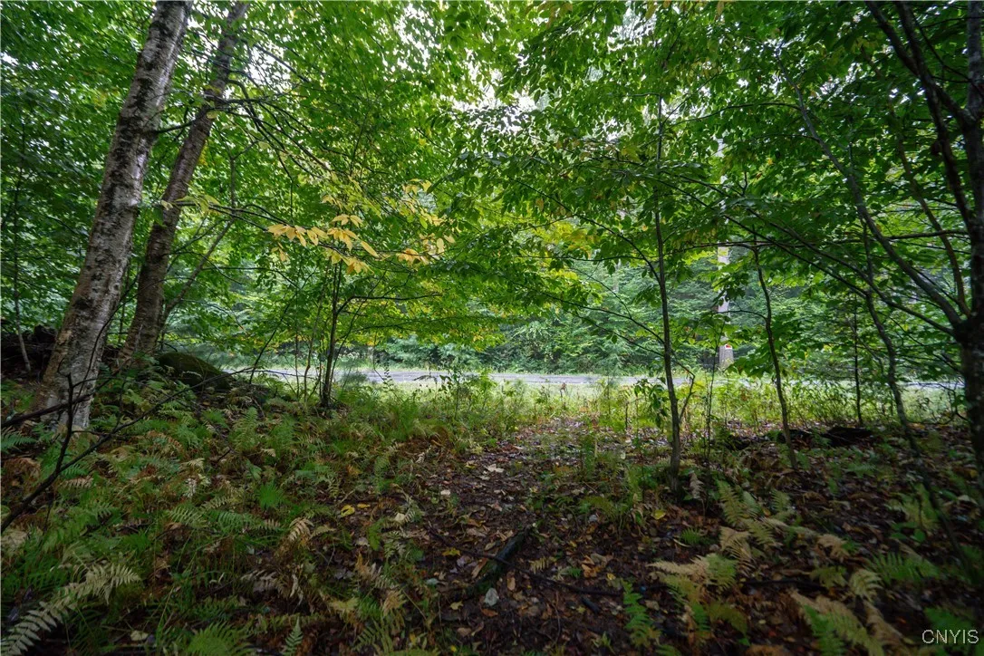 347 Shaad Road, Salisbury, New York 13454, Salisbury, New York 13454, ,Land,For Sale,347 Shaad Road, Salisbury, New York 13454,0,S1636593