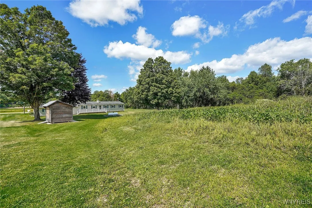 9862 Route 219, Ashford, New York 14171, Ashford, New York 14171, 3 Bedrooms Bedrooms, 12 Rooms Rooms,1 BathroomBathrooms,Residential,For Sale,9862 Route 219, Ashford, New York 14171,0,B1635236