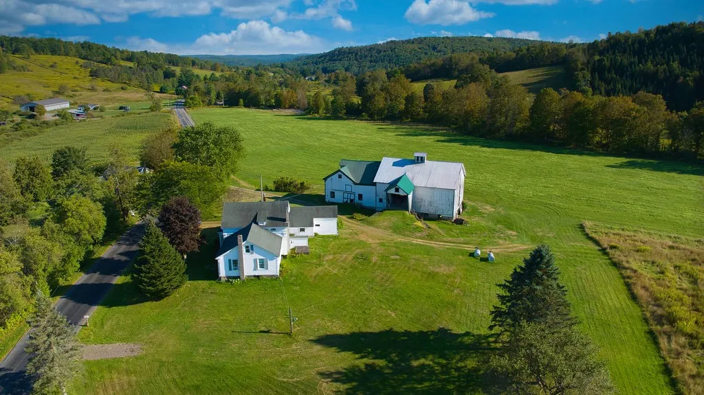 1022 Shapley Road, Guilford, New York 13733, Guilford, New York 13733, 7 Bedrooms Bedrooms, 9 Rooms Rooms,2 BathroomsBathrooms,Residential,For Sale,1022 Shapley Road, Guilford, New York 13733,0,R1634998