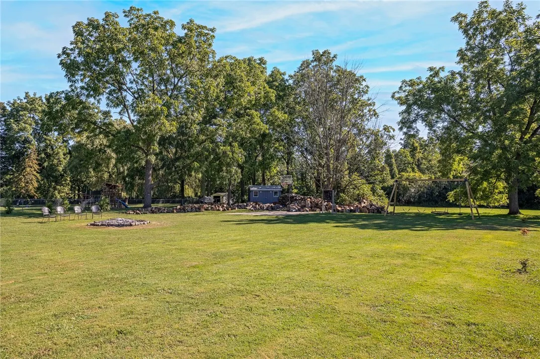 Backyard area