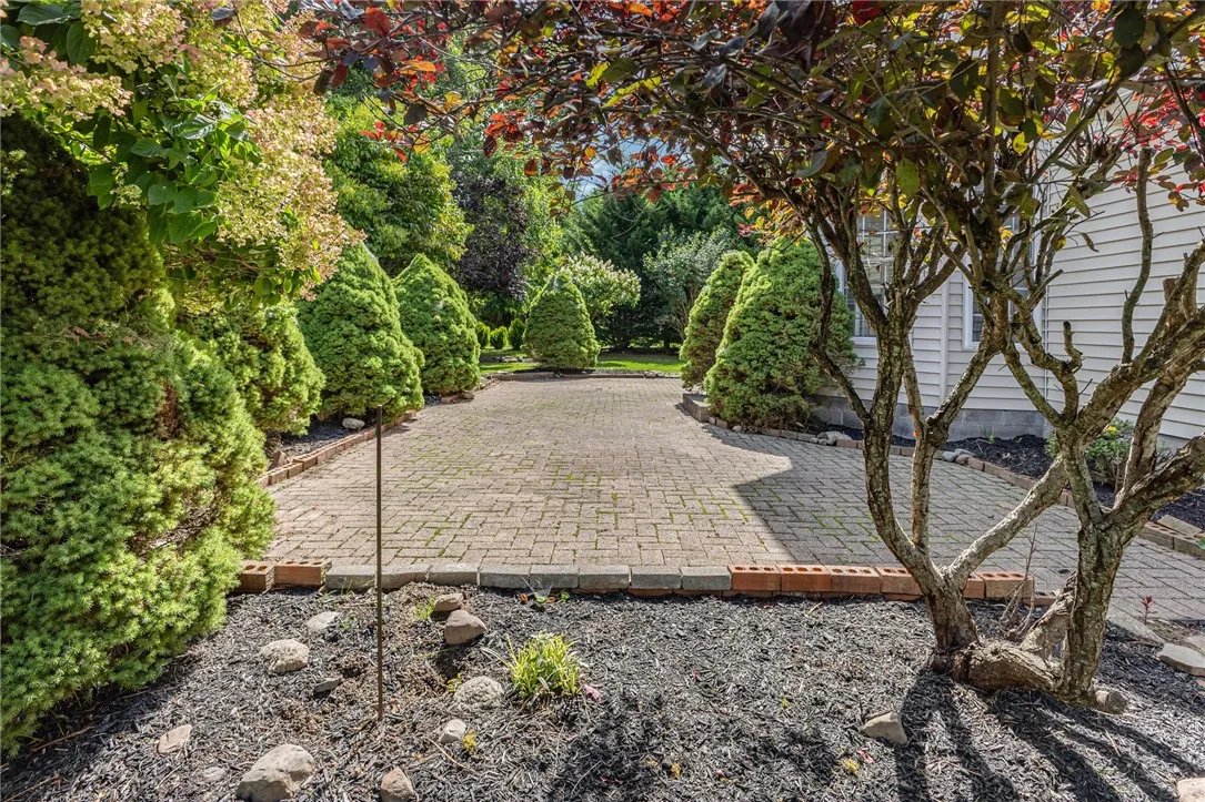 Rear Patio