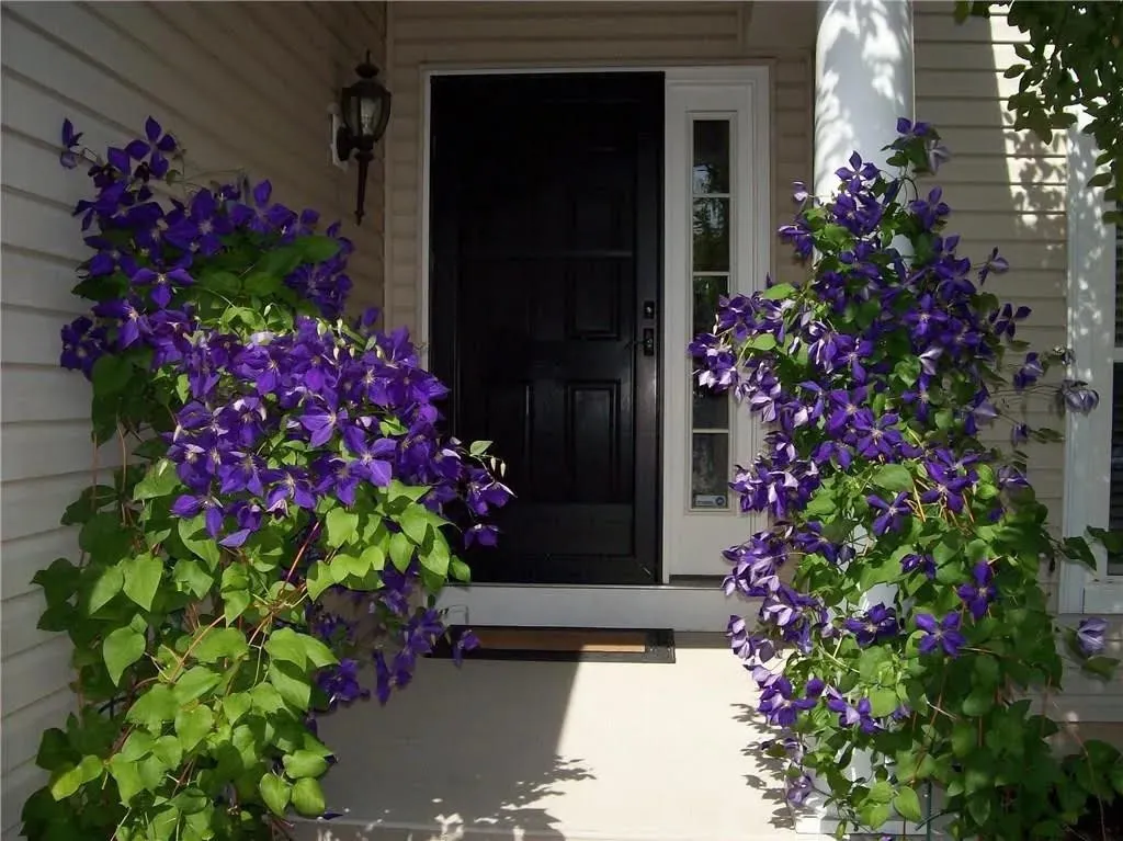 8 Jenna Way, Henrietta, New York 14623, Henrietta, New York 14623, 3 Bedrooms Bedrooms, 6 Rooms Rooms,2 BathroomsBathrooms,Residential,Closed,8 Jenna Way, Henrietta, New York 14623,0,R1634514