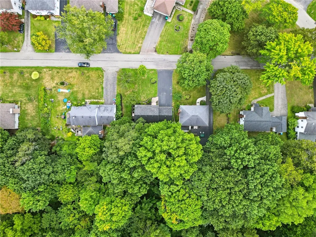 Tree lined backyard!