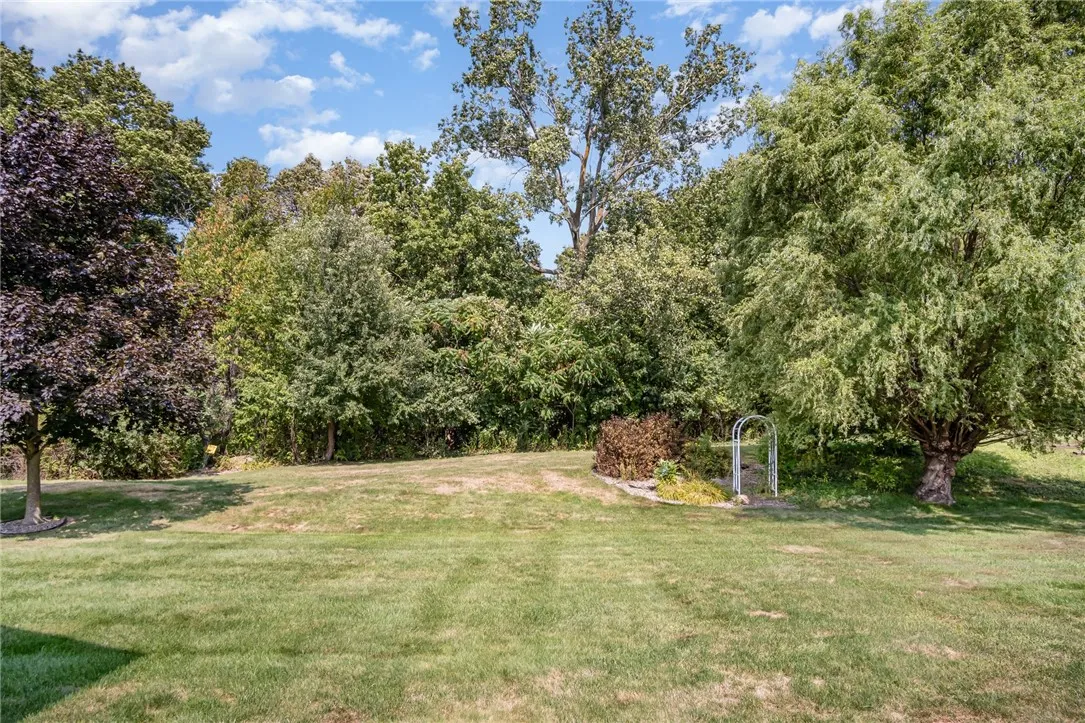 View of Back Yard from the Patio