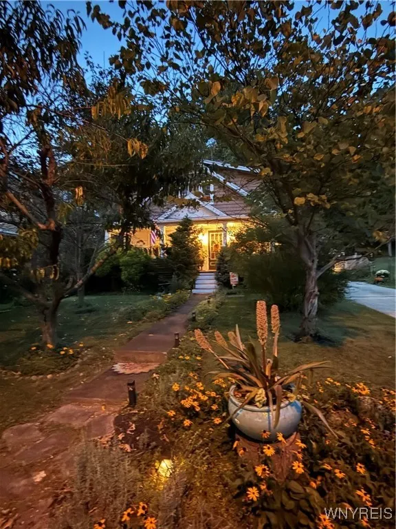 Night Front