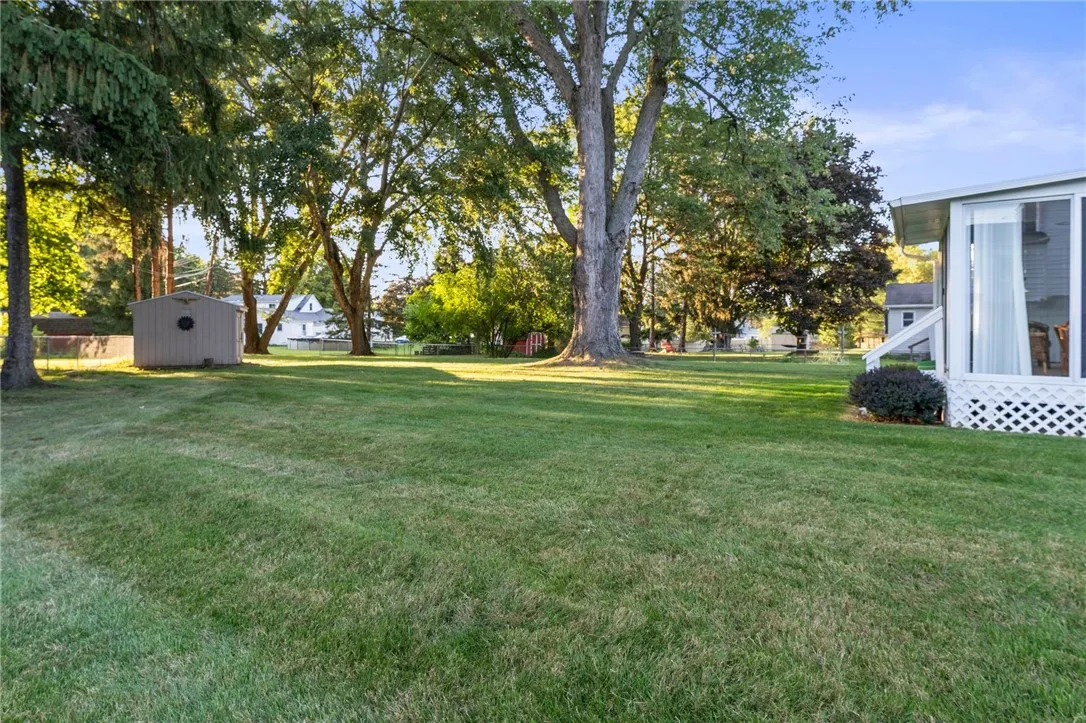 Large Yard